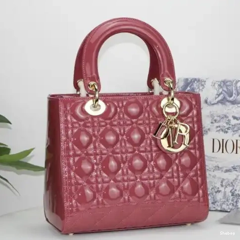 2012SH0089 Bags Dio 0706